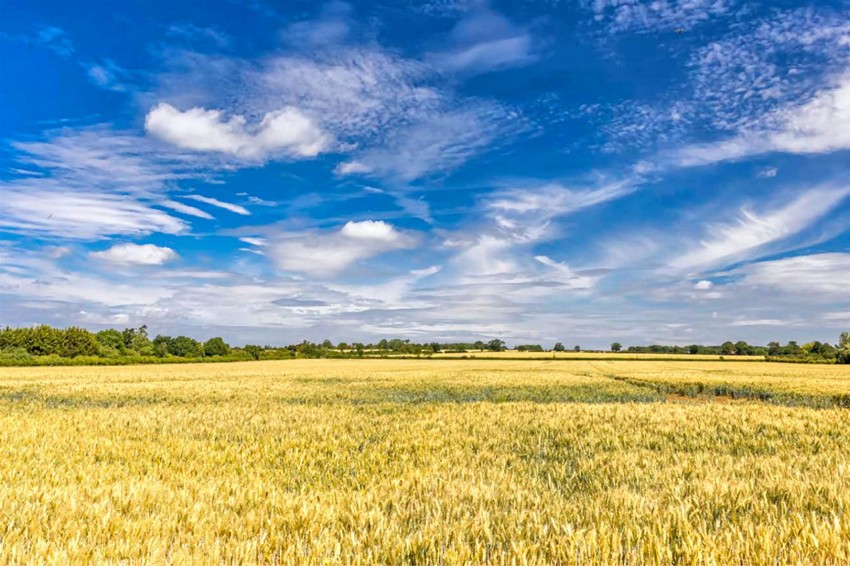 Images for Rosewood, Upland Road, Thornwood