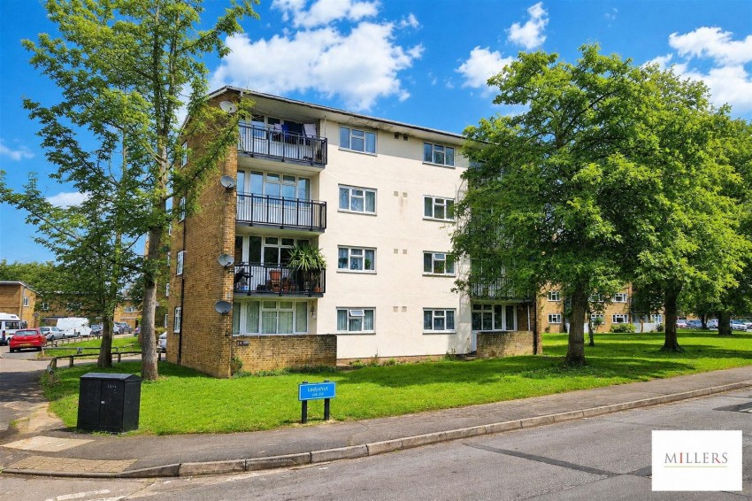 Images for Ladyshot, Harlow