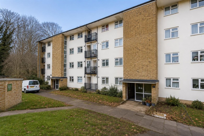 Images for Ladyshot, Harlow